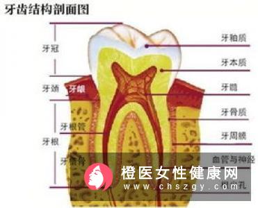 牙龈出血要如何治疗呢？